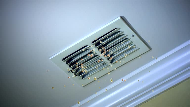 Best Air Duct Cleaning Near Me  in Flint Hill, MO