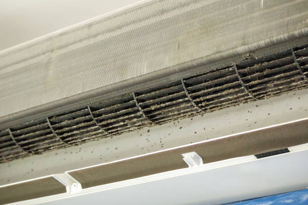 Best Local Air Duct Cleaning Services  in Flint Hill, MO